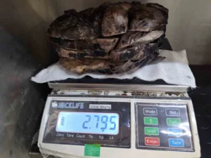 Sivas’ta nefes darlığı ve göğüs ağrısı şikayetiyle hastaneye başvuran hastanın