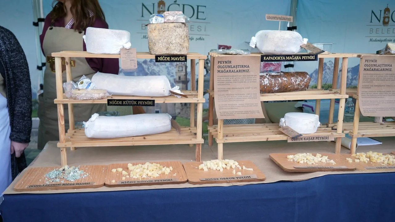 Niğde Valiliği, Belediye, Niğde Ömer Halisdemir Üniversitesi ve Niğde Gastro