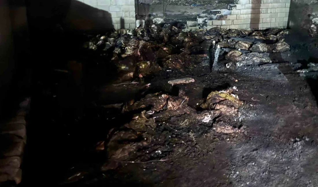 Niğde’nin Bor ilçesine bağlı Kemerhisar beldesinde bir ahırda çıkan yangında