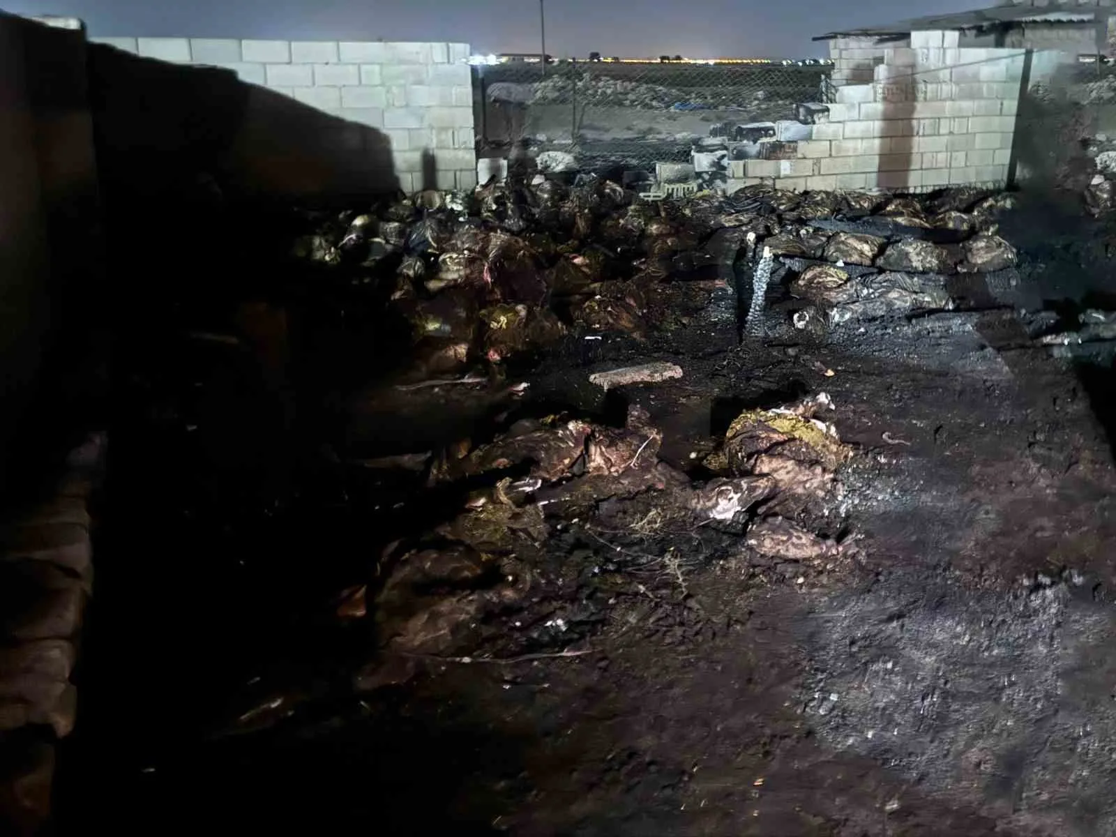 Niğde’nin Bor ilçesine bağlı Kemerhisar beldesinde bir ahırda çıkan yangında