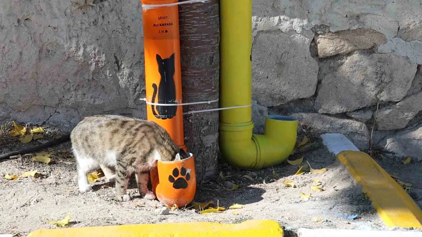 Nevşehir’de geri dönüşüm malzemelerini değerlendirerek sokak hayvanları için su ve