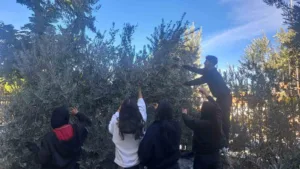 Manisa’nın Gölmarmara ilçesinde bulunan Hulki Sanlıtop Anadolu Lisesi öğrencileri, okul