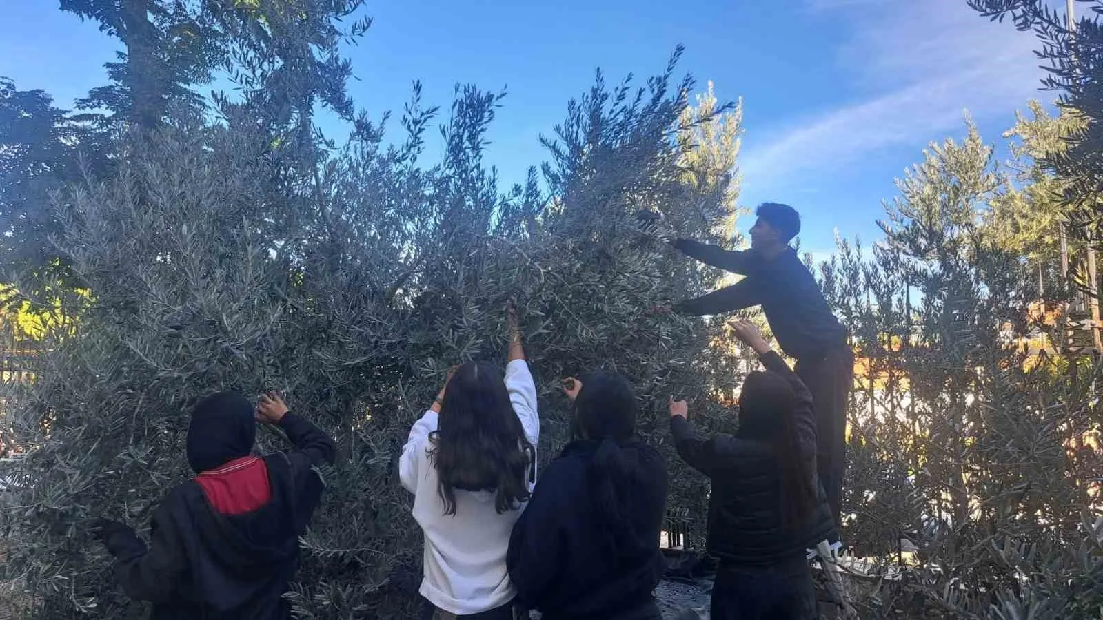 Manisa’nın Gölmarmara ilçesinde bulunan Hulki Sanlıtop Anadolu Lisesi öğrencileri, okul