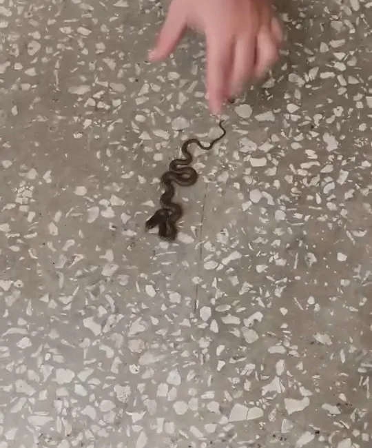 Bursa’nın Karacabey ilçesinde bir okulda yaşanan ilginç olay, öğrenciler arasında