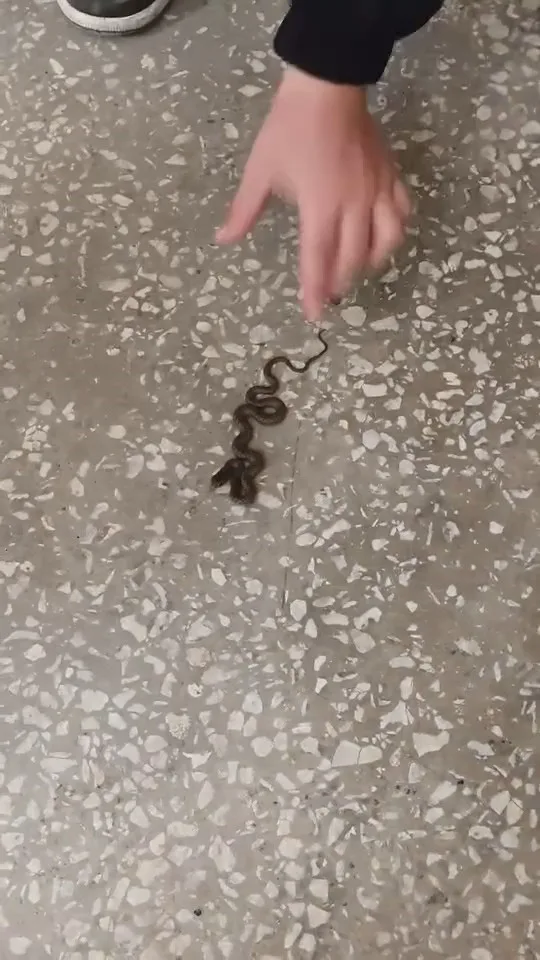 Bursa’nın Karacabey ilçesinde bir okulda yaşanan ilginç olay, öğrenciler arasında