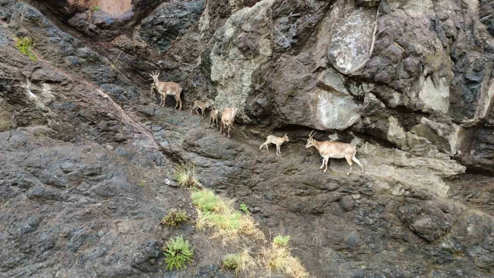 Erzurum’un Oltu ilçesinin Damlıca bölgesinde, doğa tutkunları tarafından dronla görüntülenen