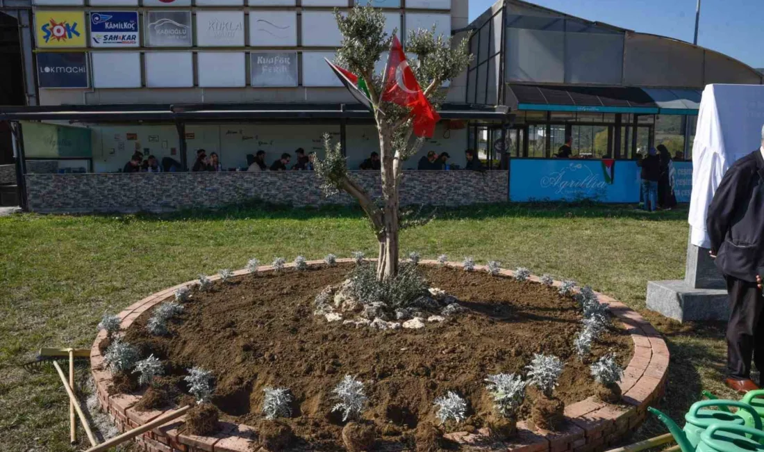 Ondokuz Mayıs Üniversitesi (OMÜ) Zeytin Dalı Öğrenci Topluluğu tarafından Filistin’de