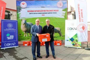 Ordu’da ’Küçükbaş Hayvancılığın Desteklenmesi Projesi’ kapsamında 150 koyun yetiştiricisine yüzde