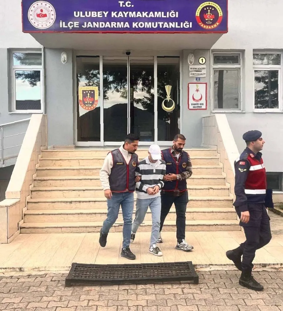 Ordu’da bir evden fındık çalan ve jandarma ekipleri tarafından yakalanan