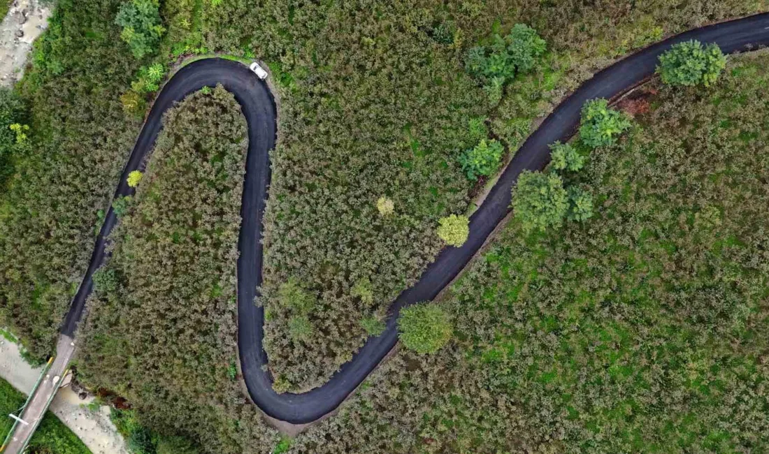 Ordu Büyükşehir Belediyesi, il genelindeki yollarda sıcak asfalt çalışmalarını sürdürüyor.