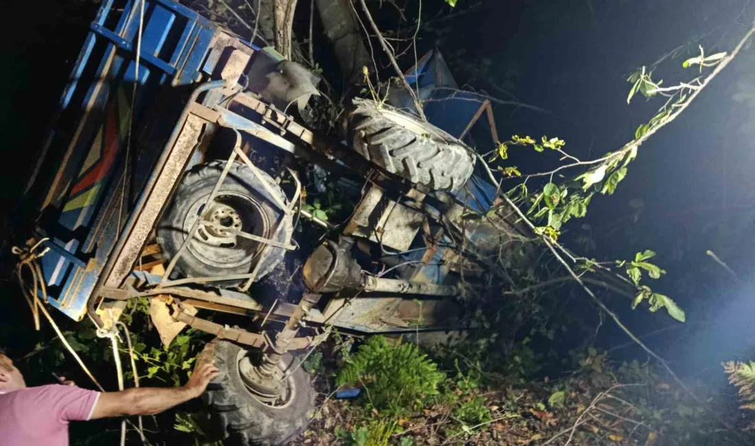 Ordu’nun Ünye ilçesinde fındık odunu çekerken kontrolünü kaybettiği ’patpat’ olarak