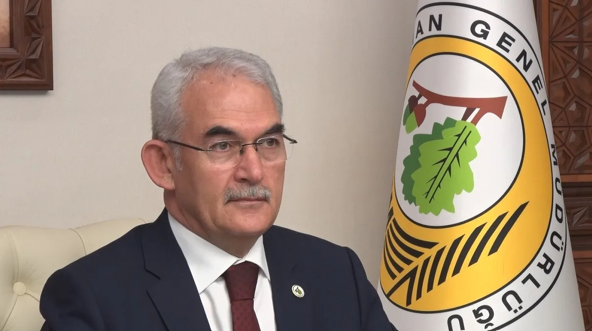 İstanbul Orman İnovasyon Haftası (IFIW), 20-25 Ekim tarihlerinde birçok ülkenin