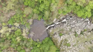 Kastamonu’nun Taşköprü ilçesinde orman içerisindeki şelale, sunduğu manzarayla görenleri hayran
