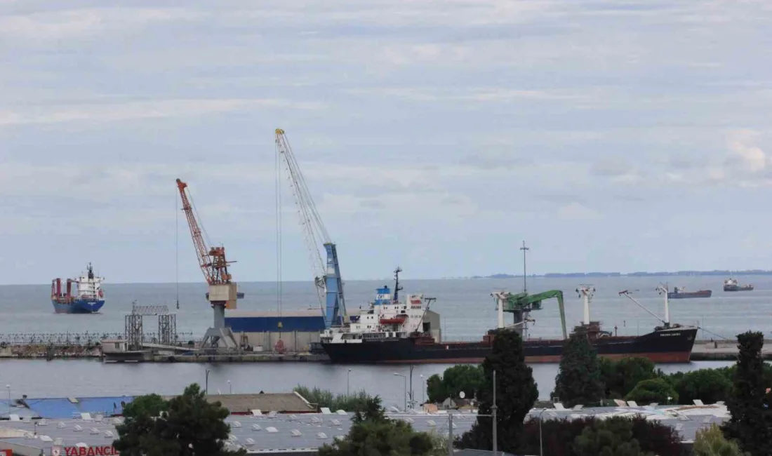 Türkiye İstatistik Kurumu (TÜİK) Samsun Bölge Müdürlüğü verilerine göre, 2025