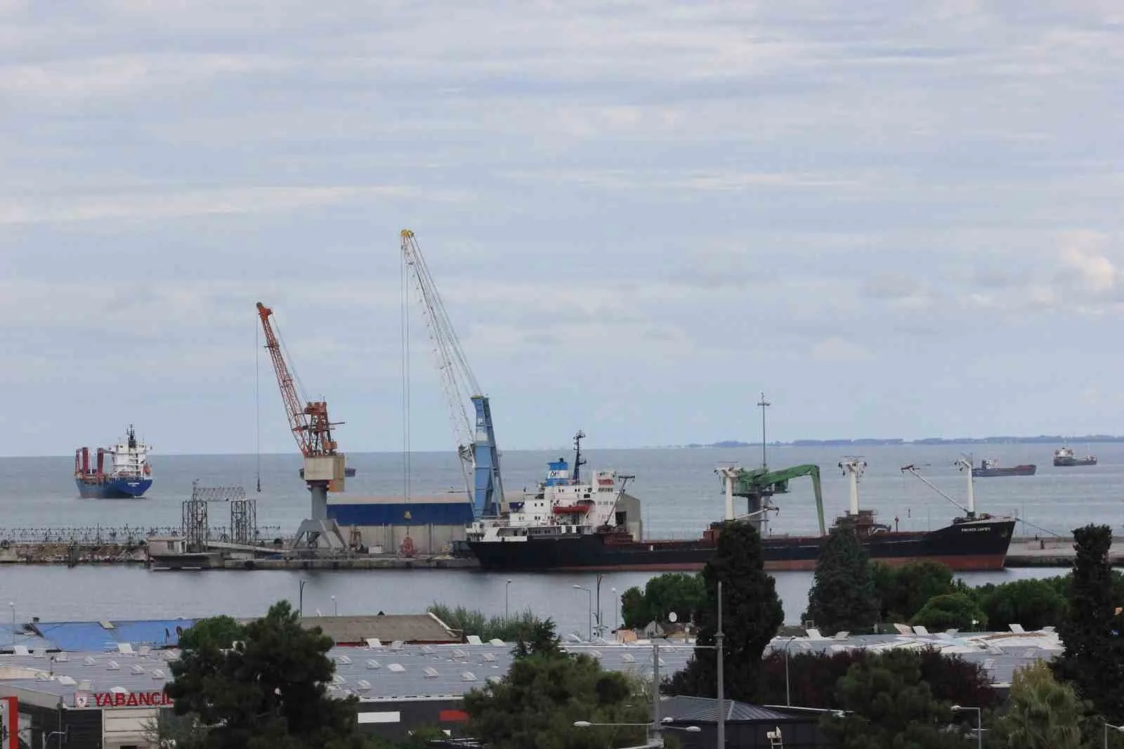 Türkiye İstatistik Kurumu (TÜİK) Samsun Bölge Müdürlüğü verilerine göre, 2025