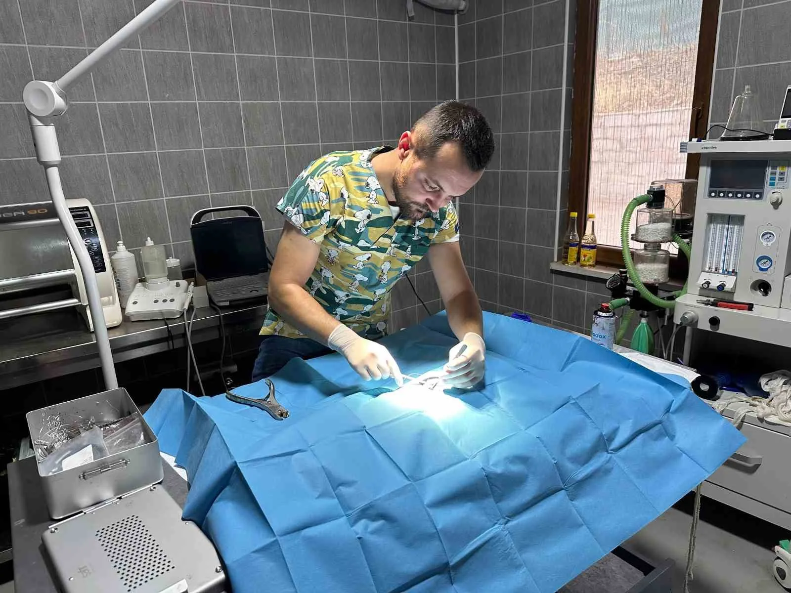 Bilecik’in Osmaneli ilçesinde, olta misinesine dolanan ve vücuduna iğne saplanan