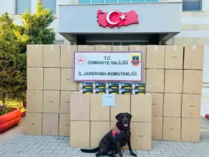 Osmaniye’de düzenlenen operasyonda 1 milyon 250 bin sahte bandrollü boş