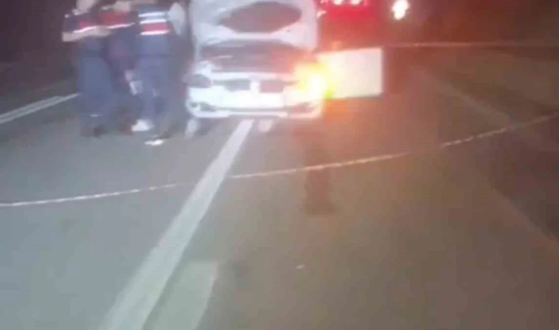 Mersin’in Çamlıyayla ilçesinde otomobilin park halindeki kamyona çarpması sonucu meydana