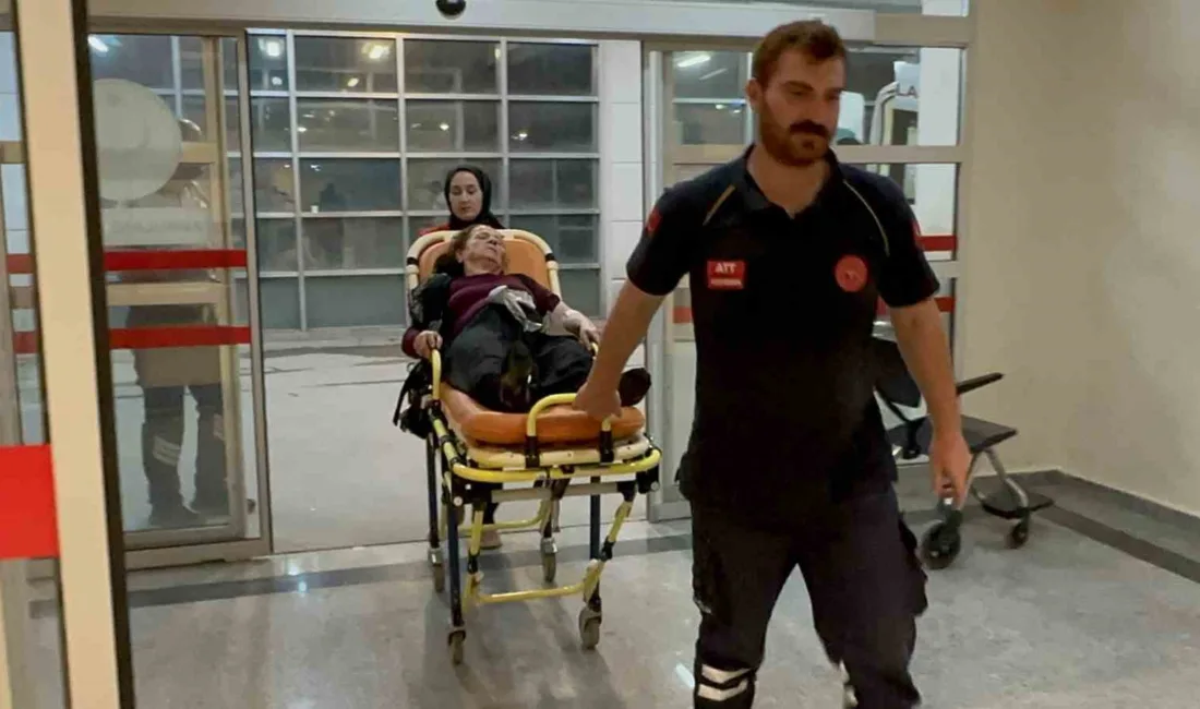 Adıyaman’da otomobilin çarptığı kadın yaralandı. Edinilen bilgilere göre, sürücüsü öğrenilemeyen