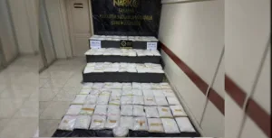 Anadolu Otoyolu’nun Sakarya geçişinde polis ekiplerince gerçekleştirilen operasyonda, cipin bagajına
