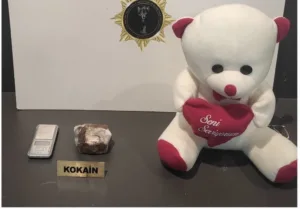 Samsun’un Atakum ilçesinde polis ekipleri, oyuncak ayı içerisine gizlenmiş 150