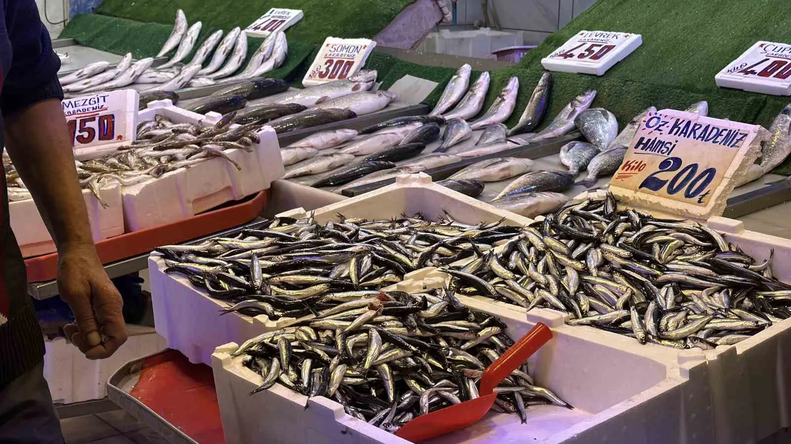 Bu sezon tezgahlarda palamudun yerini Karadeniz’in vazgeçilmezi hamsi aldı. Tezgahlarda