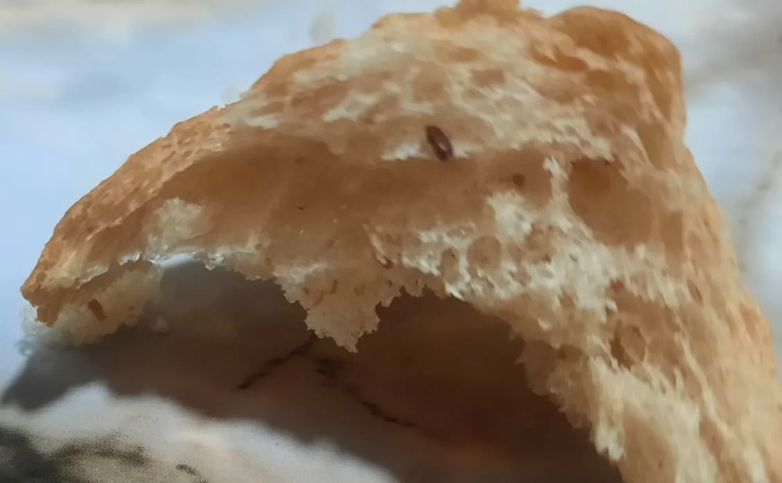 Denizli Pamukkale Belediyesi Halk Ekmek’ten alınan ekmeğin içerisinden fare dışkısı