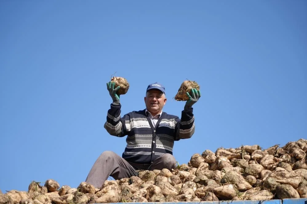 Bu yıl pancar üretimindeki düşüşe rağmen mevcut stoklar dolayısıyla şeker
