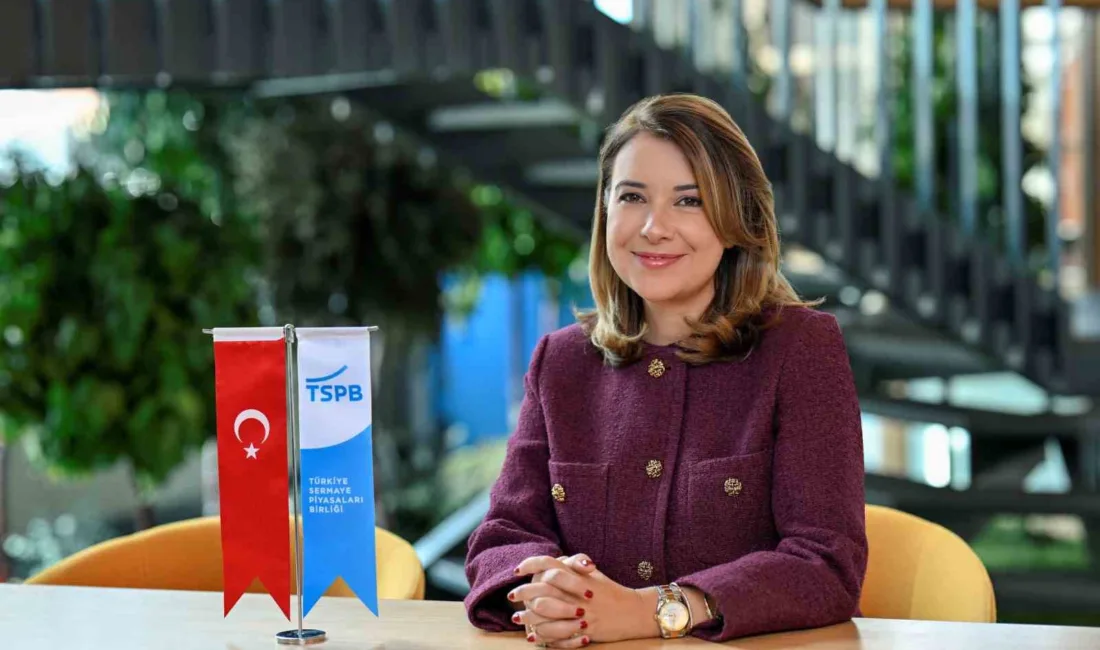 Türkiye Sermaye Piyasaları Birliği Yönetim Kurulu Başkanı Pamir Karagöz, 2019