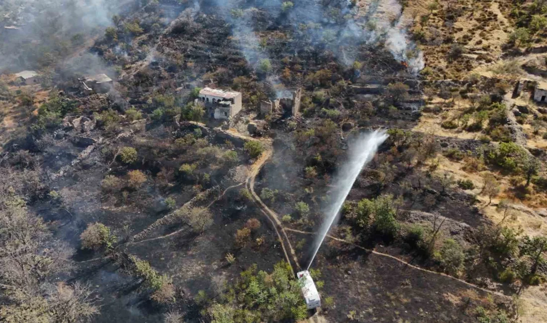 Kayseri’nin Talas ilçesinde patlıcan közlerken ormanı yakan şahıs polis ekipleri