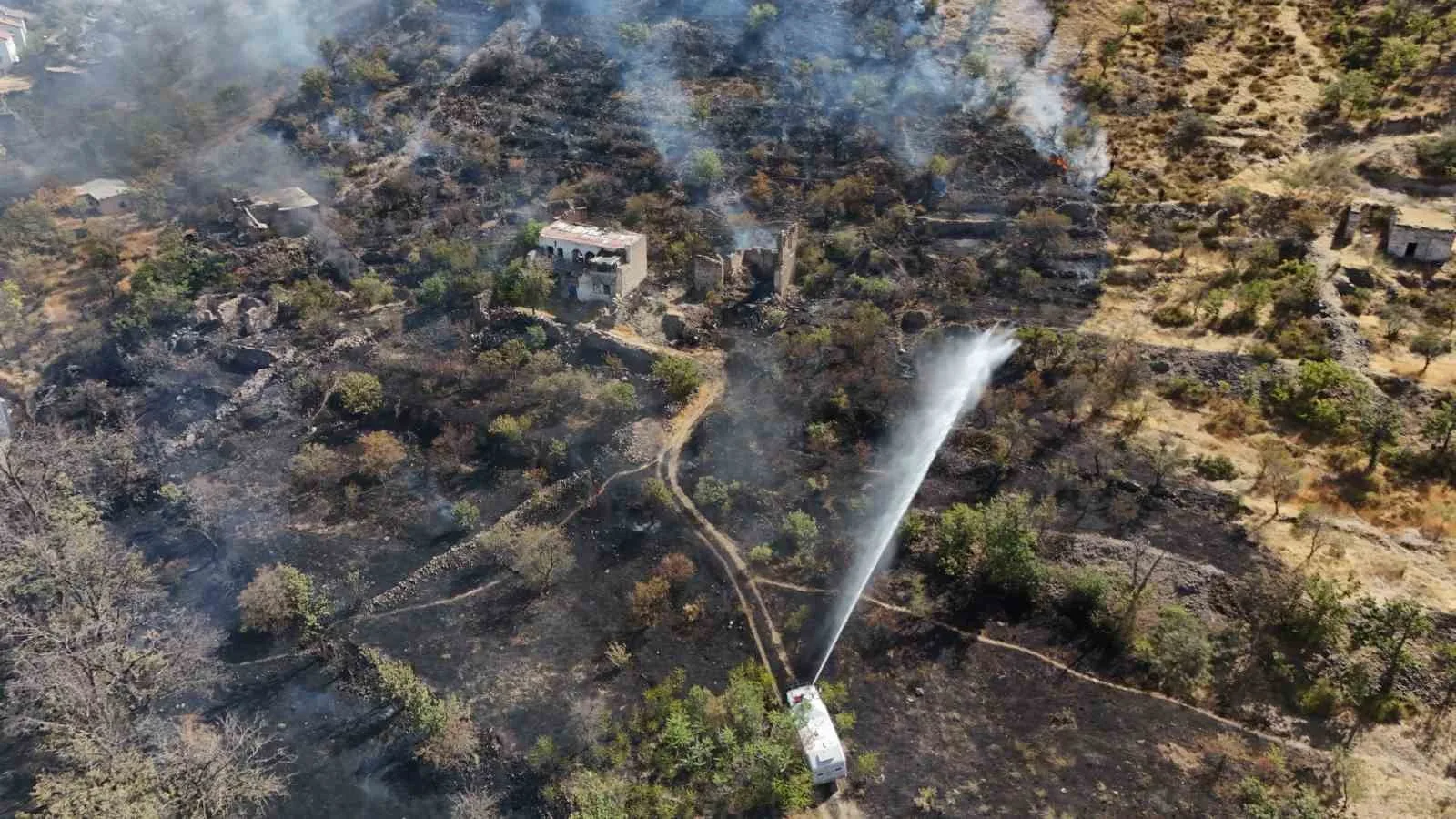 Kayseri’nin Talas ilçesinde patlıcan közlerken ormanı yakan şahıs polis ekipleri