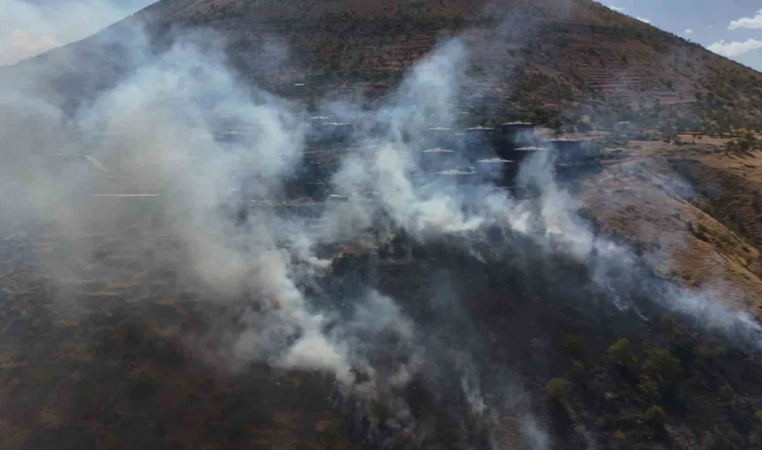 Kayseri’nin Talas ilçesindeki ormanlık alanda çıkan yangına ekiplerin müdahalesi sürüyor.