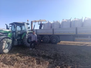 Ağrı’nın Patnos ilçesinde patates hasadı başladı. İlçe genelinde üreticiler tarlalara