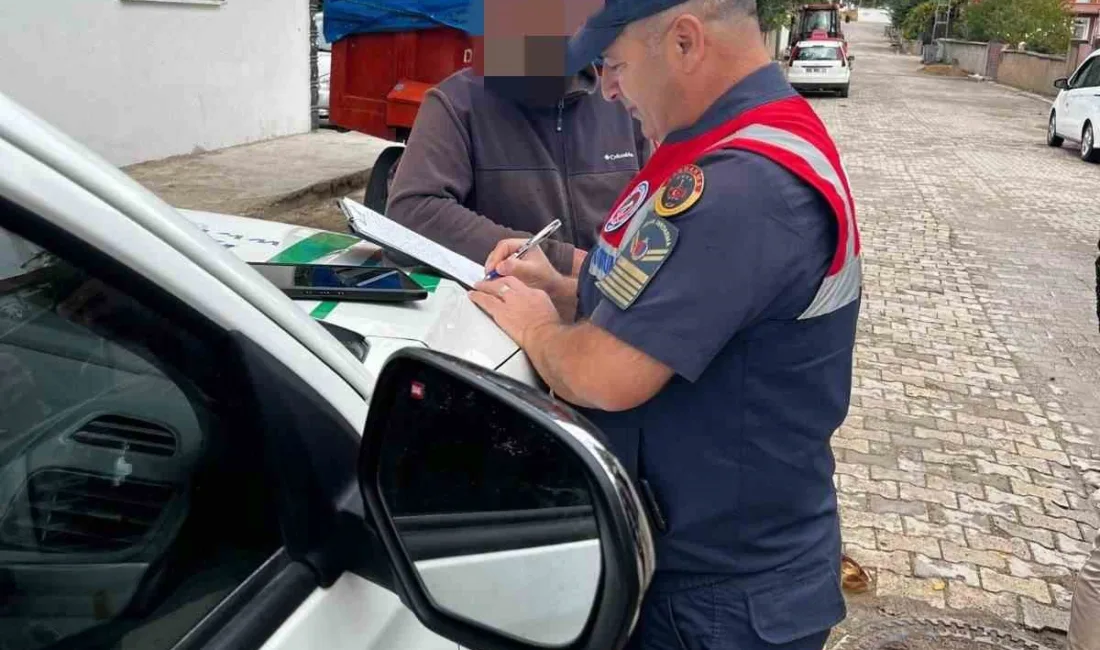 Yozgat’ın Şefaatli ilçesinde yasaklı ırklar arasında olan Pitbull cinsi köpek