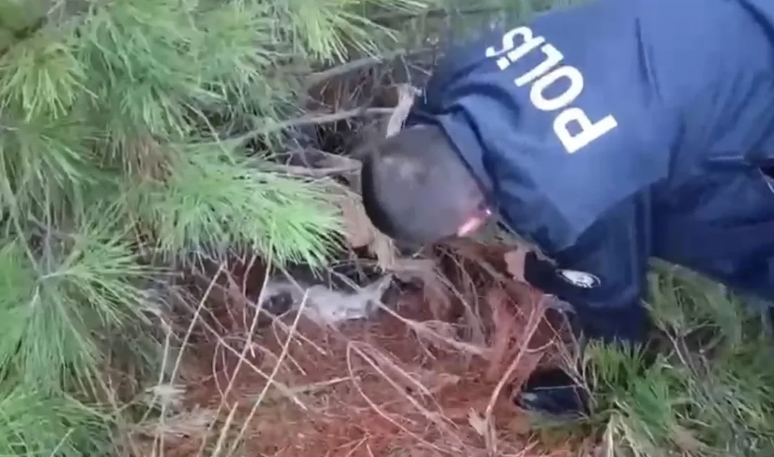 Samsun’da polis ekipleri kafes içinde canlı bıldırcın ve ses sistemi