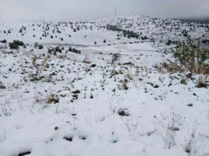 Ardahan’ın Posof ilçesinde gece yarısından itibaren etkili kar yağışı ilçeye