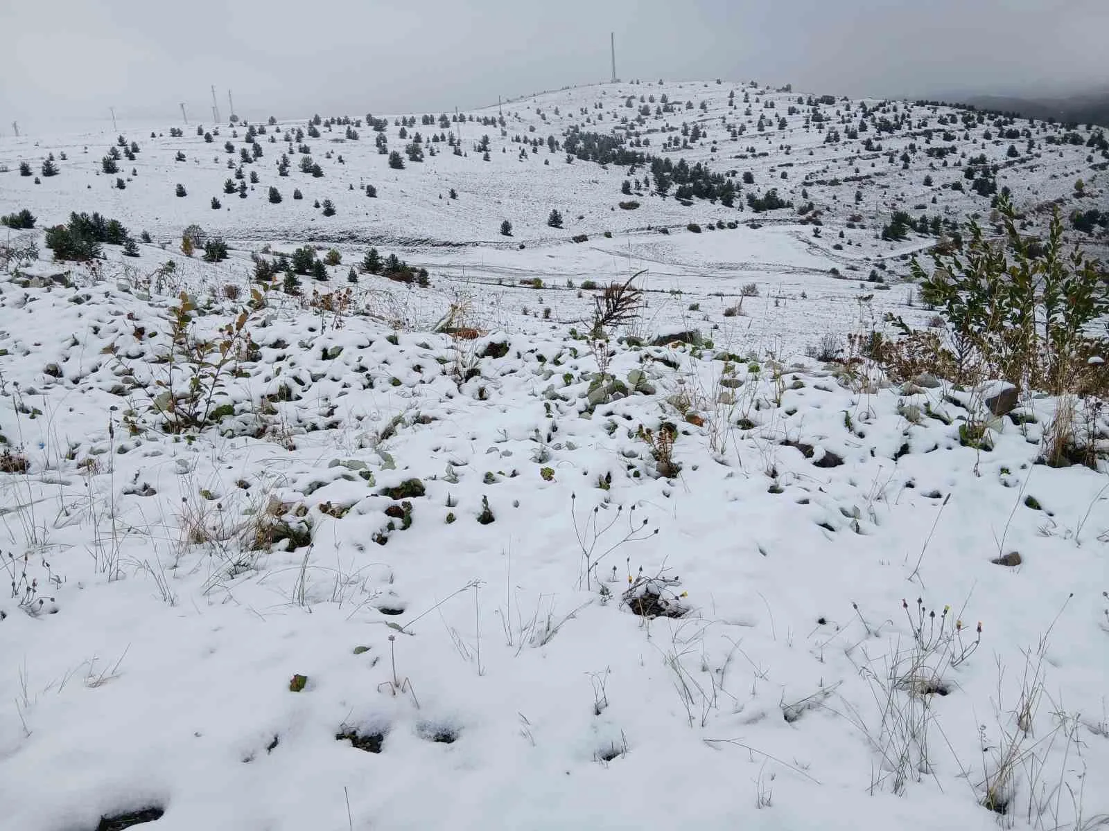 Ardahan’ın Posof ilçesinde gece yarısından itibaren etkili kar yağışı ilçeye