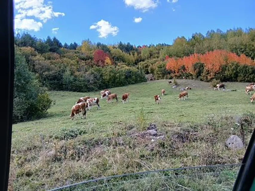 Ardahan’ın Posof ilçesi, sonbaharda manzarasıyla görenleri mest ediyor. Posof’ta sonbaharda