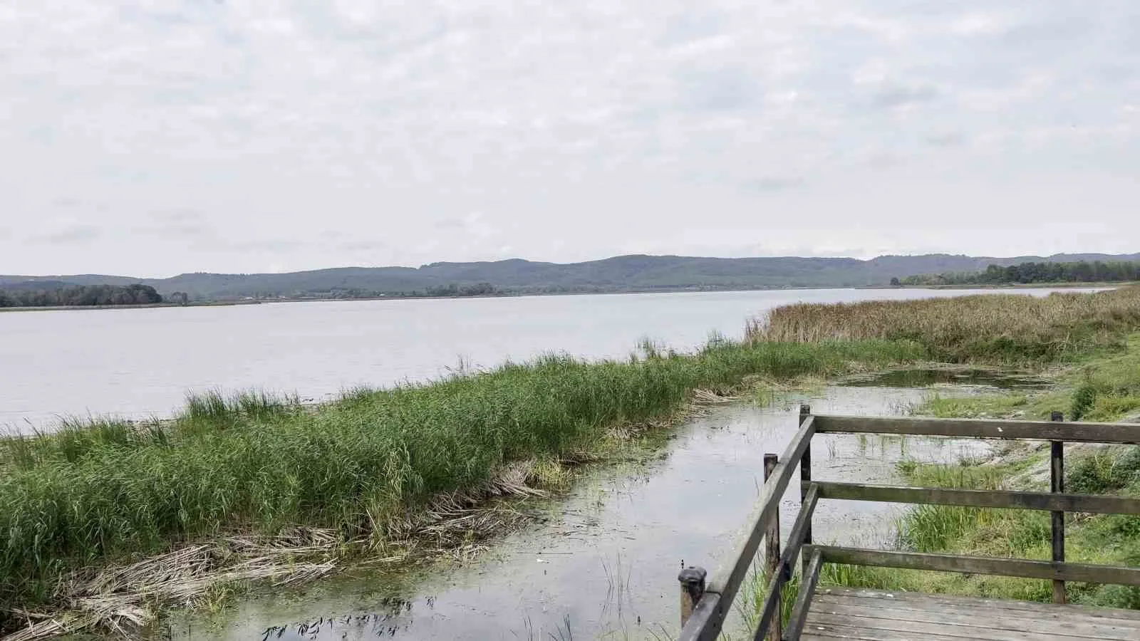 Sakarya’nın Ferizli ilçesinde bulunan Akgöl’ün debisi, 8 metreden 2 metreye