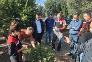 Aydın Valiliği Yatırım İzleme ve Koordinasyon Başkanlığı’nın desteğiyle yürütülen “Sakız