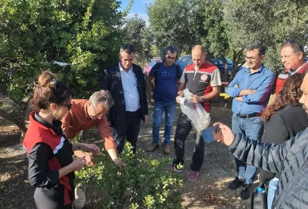 Aydın Valiliği Yatırım İzleme ve Koordinasyon Başkanlığı’nın desteğiyle yürütülen “Sakız