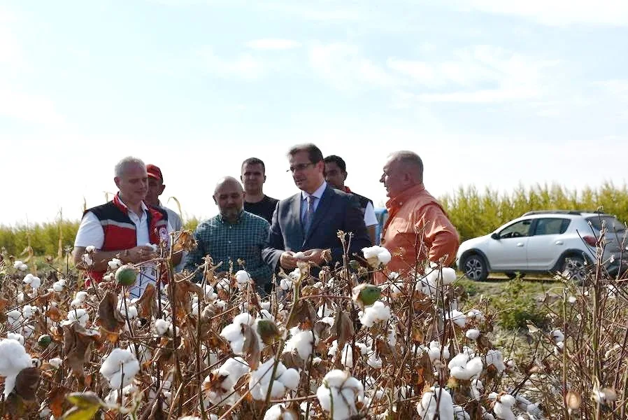 Türkiye’nin önemli tarımsal üretim merkezlerinden biri olan Salihli Ovası’nda pamuk