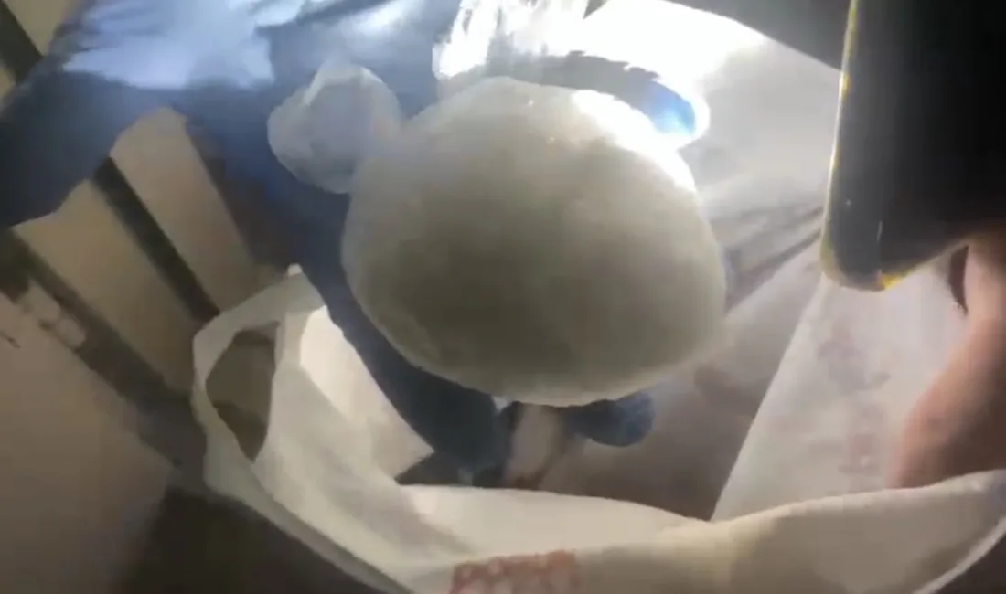 Samsun’un İlkadım ilçesinde bir bölümü evin bodrumuna gizlenmiş 183,8 gram