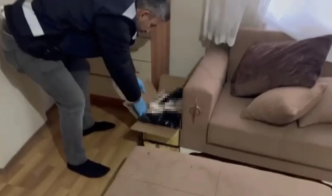 Samsun’da kaçak tütün ve makaron ticaretine yönelik düzenlenen geniş çaplı