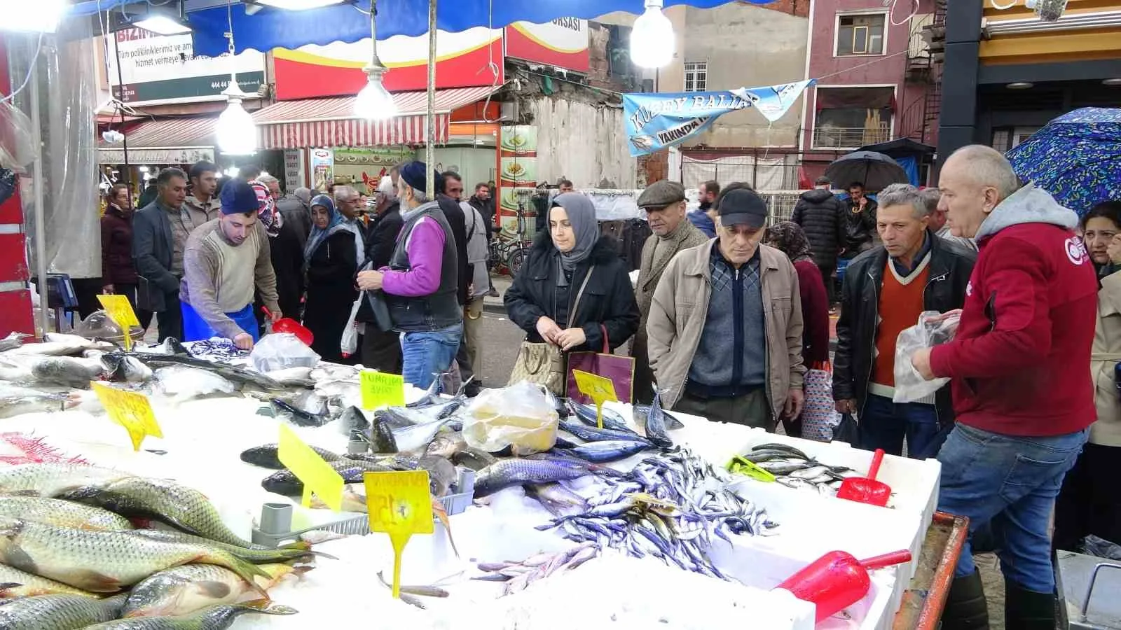 Samsun’da balık fiyatları vatandaşların yüzünü güldürdü. Balıkçı tezgahlarında hamsi ve