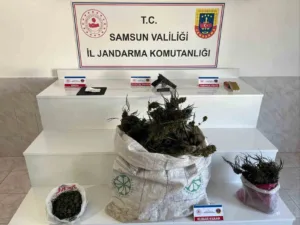 Samsun’un Bafra ilçesinde jandarma ekipleri tarafından düzenlenen operasyonda, bir evde