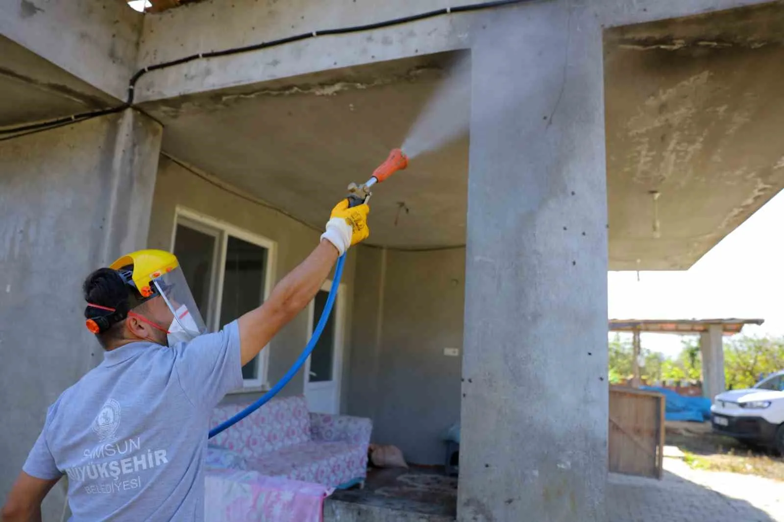 Samsun Büyükşehir Belediyesi, Türkiye genelinde hızla yayılan kahverengi kokarcaya (Halyomorpha