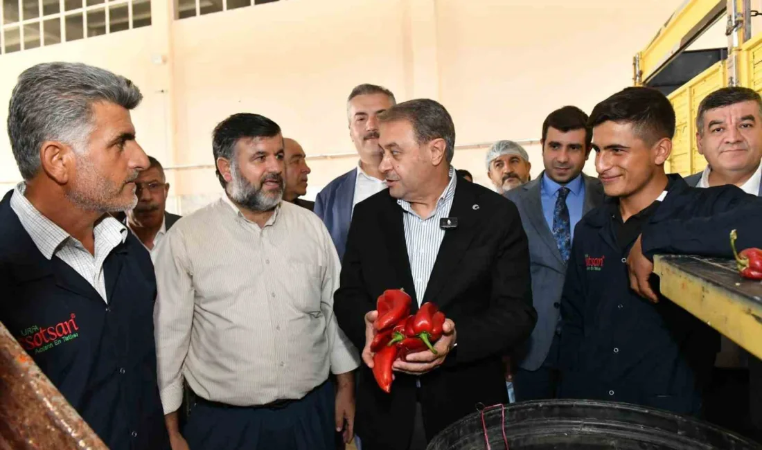Şanlıurfa Valisi Hasan Şıldak, Gıda İhtisas Organize Sanayi Bölgesi’nde incelemelerde