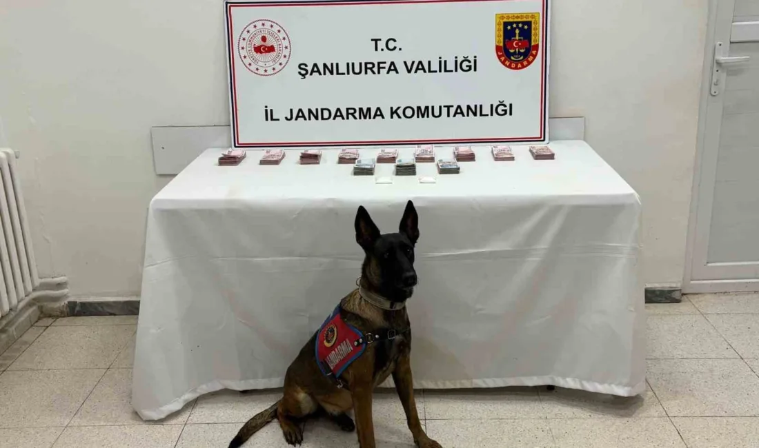 Şanlıurfa’da bir miktar uyuşturucu madde ve uyuşturucu madde satışından elde
