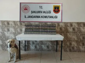 Şanlıurfa İl Jandarma Komutanlığı ekiplerince düzenlenen operasyonlarda 7 bin 940